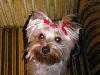 you-re-invited-pc030007.jpg