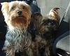you-re-invited-carride-july32008.jpg