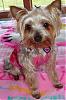 yay-s-princess-s-2nd-birthday-pic1.jpg