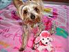 yay-s-princess-s-2nd-birthday-pic-3-640-x-480-.jpg.jpg
Views:	13
Size:	88.2 KB
ID:	118679