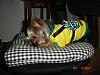 pi-ilani-s-first-photo-shoot-pi-idec9.2.jpg