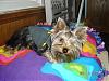 pi-ilani-s-first-photo-shoot-pi-idec9.6.jpg