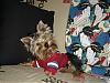 pi-ilani-s-first-photo-shoot-pi-idec9.7.jpg