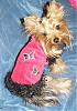 someone-s-camera-hog-0-0-chloe-butterfly-2.jpg