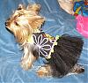 someone-s-camera-hog-0-0-chloe-tutu.jpg