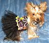 someone-s-camera-hog-0-0-chloe-tutu-2.jpg