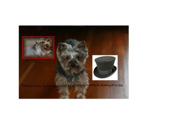 Valentine_Ball_with_Charlie_and_Ginger