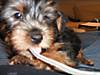 2007_0414a0057.JPG