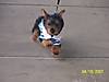 2007_Bday_weekend_006.JPG