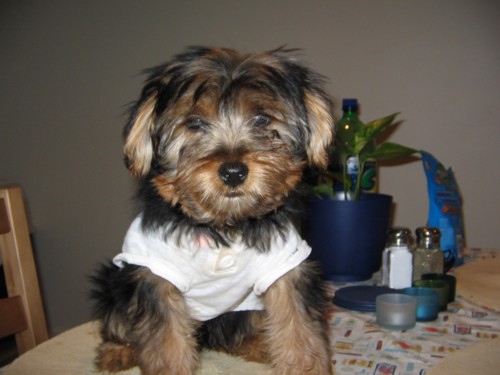 baci2