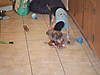 DSCF0081.jpg