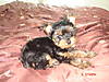 Picture_0071.jpg