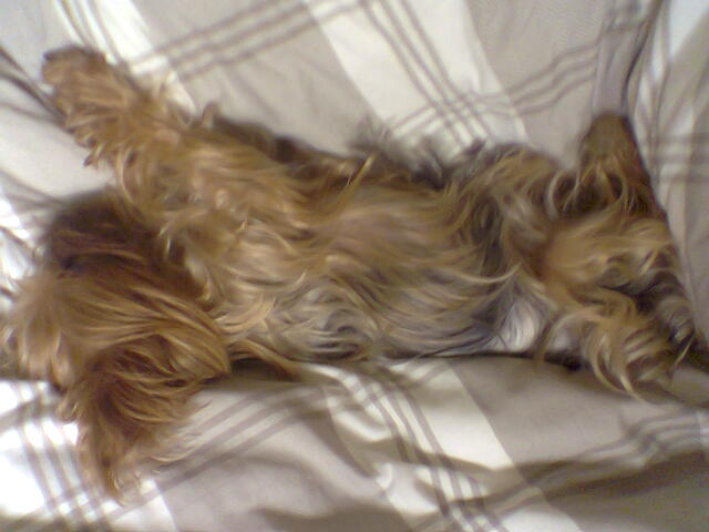 sleepy_girl_1