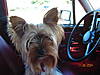 Billy_s_Pictures_0031.jpg