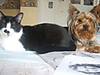 max_and_spencer2.jpg