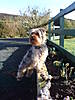 murph_016.JPG