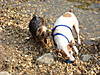 DSC00998.jpg