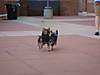 DSC01009.jpg
