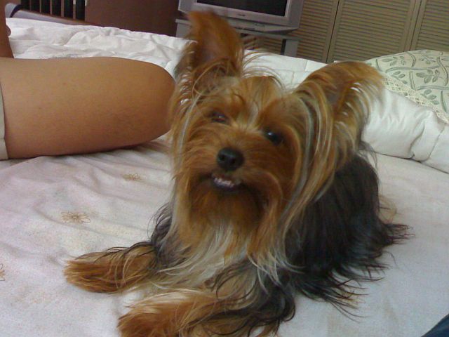 Hi_I_m_Errol_