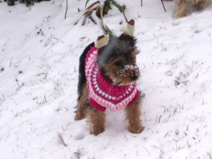 Dec_31_2006_Lexie_1st_snow