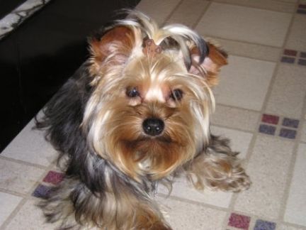 My_favorite_picture_of_Lucky