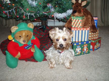 lucky_christmas_2006