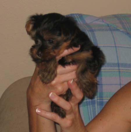 Avery_8_weeks