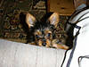 P8010005_2_.JPG