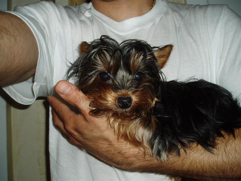Coco_Chillin