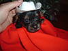 red_hats_and_cowboys_024.jpg
