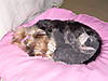 DSCN0408.JPG