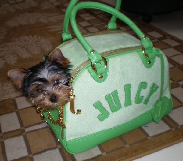 MochaJuicy