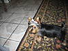 Picture_462.jpg