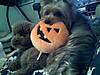 SnickersPumpkin.jpg