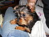 DSCF3848.JPG