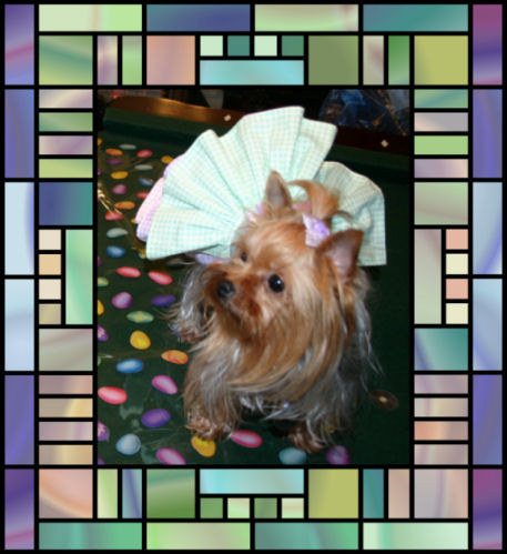 Cricket_Easter_08_frame