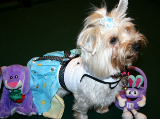 Daisy_Easter_08_7