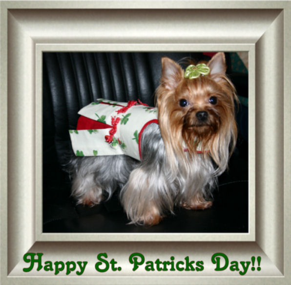 Happy_St_Pattys_Day_08