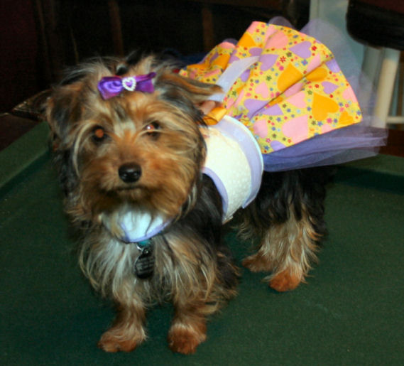 Trixie_Easter_08_10