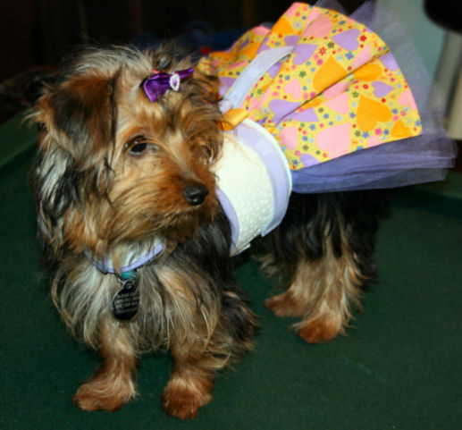 Trixie_Easter_08_9