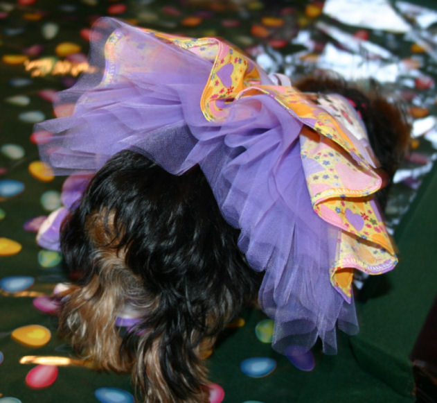Trixie_Easter_TulleHiney_08