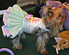 Cricket_Easter_08_8.jpg
