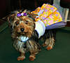 Trixie_Easter_08_10.jpg