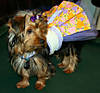 Trixie_Easter_08_9.jpg