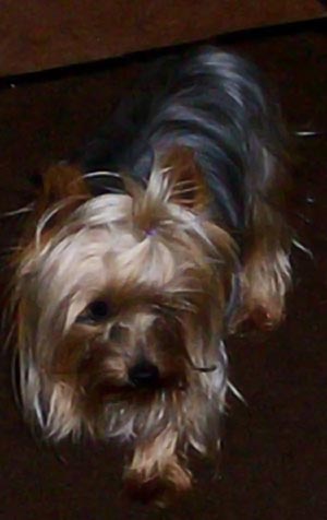 100_3999_edited-1