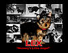 Lex2.jpg