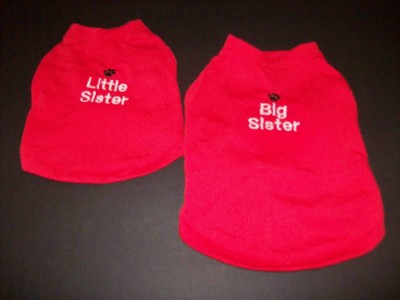 Big_Sister-Little_Sister1
