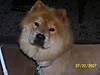 Teddie_003-1.jpg