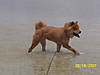 Teddie_and_Chelsea_011.jpg