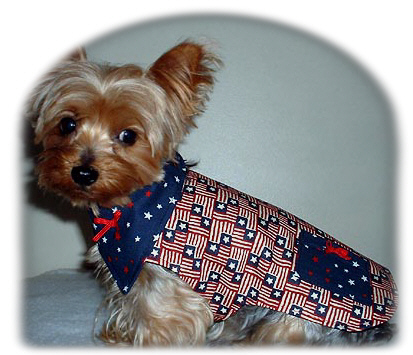 redwhitebluewithscarf